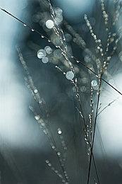 《星球大战：前线2》玩家人数持续回升 已打破四年前纪录